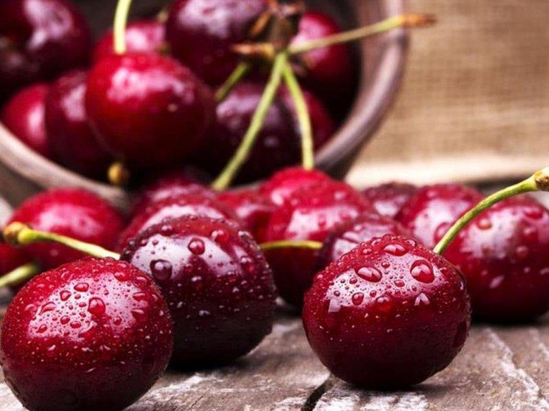 Вишня купить саженцы из питомника в Белореченске